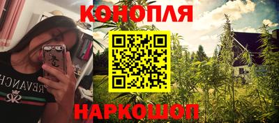 прущие грибы Бузулук